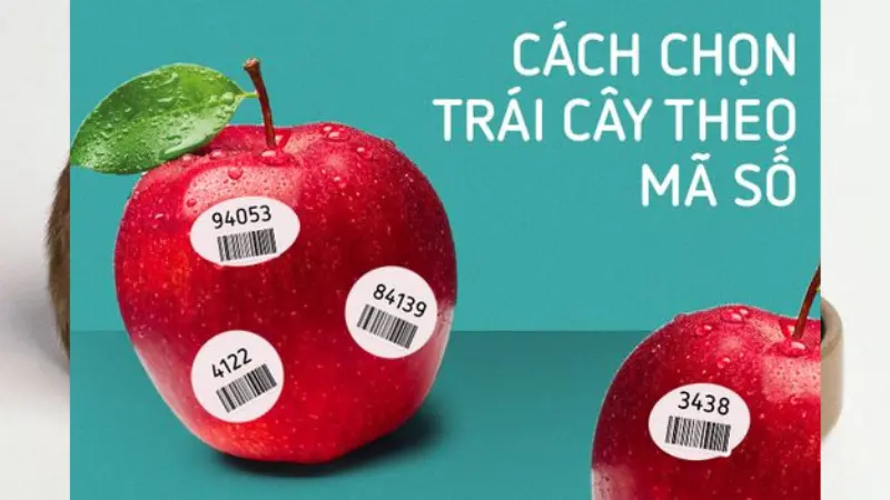 Mã số trái cây an toàn là gì?