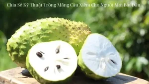 Chia Sẻ Kỹ Thuật Trồng Mãng Cầu Xiêm Cho Người Mới Bắt Đầu